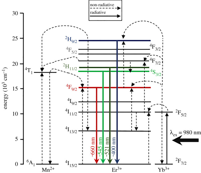 Figure 2. 