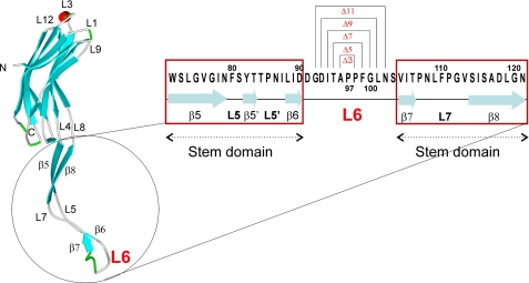 FIGURE 1.