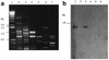 FIG. 6