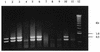 FIG. 7