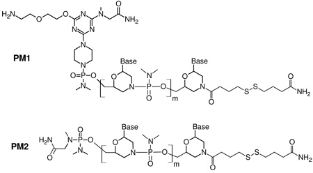 graphic file with name nihms103479f7.jpg