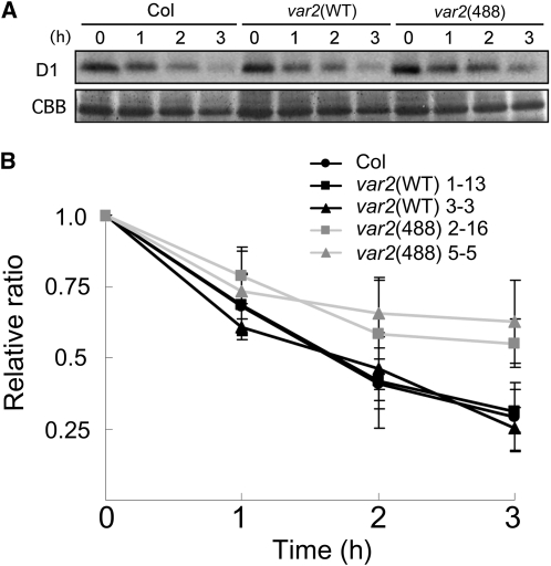 Figure 5.