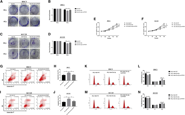 Figure 6