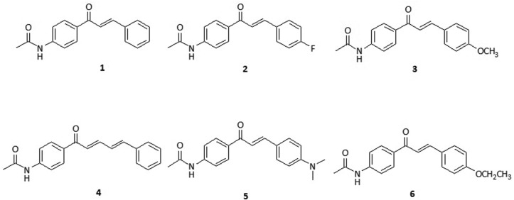 Fig. 1