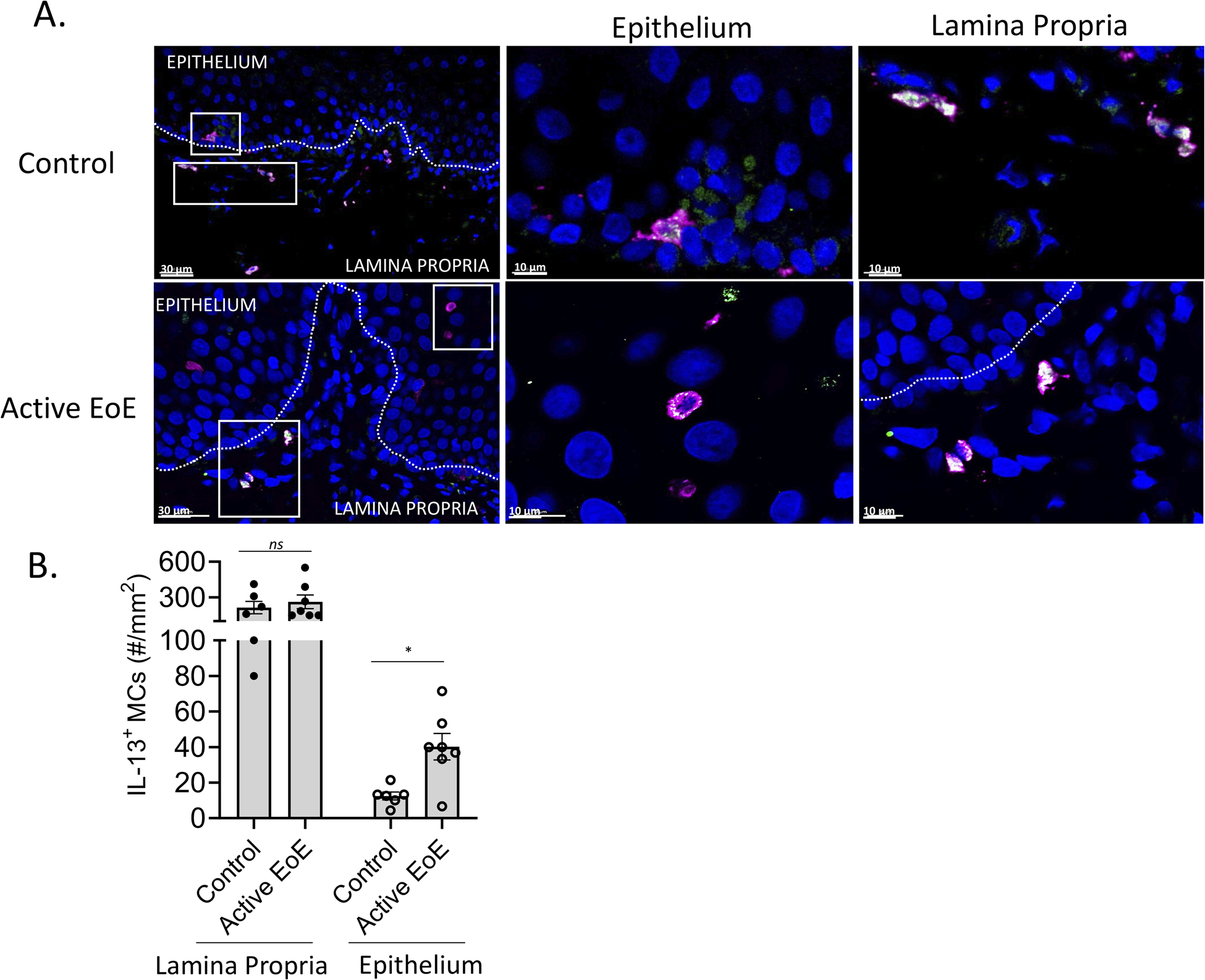 Figure 6: