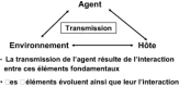 Figure 7