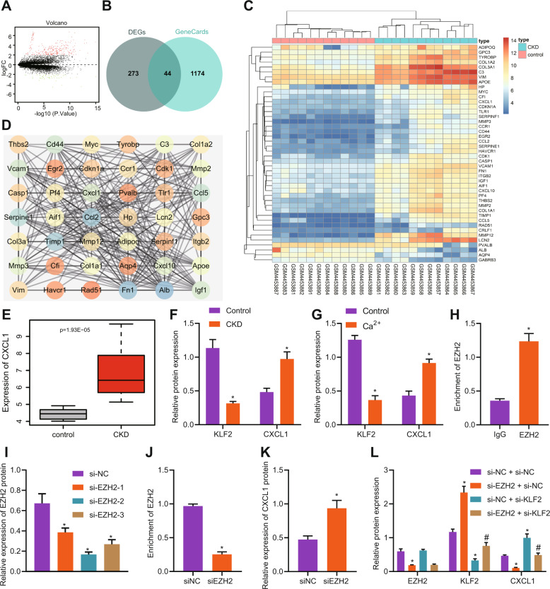 Silencing Of O-linked N-acetylglucosamine Transferase Ameliorates 