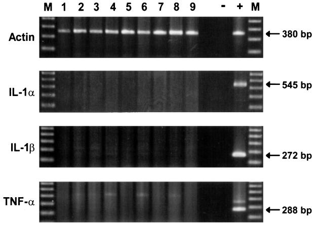 FIG. 6