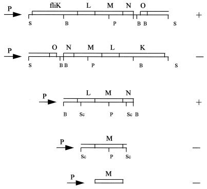 FIG. 4