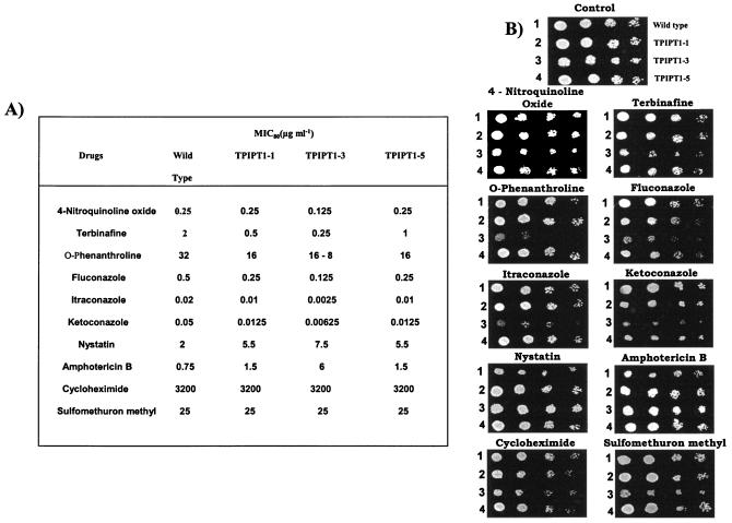 FIG. 3.