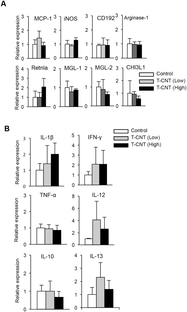 Fig 5