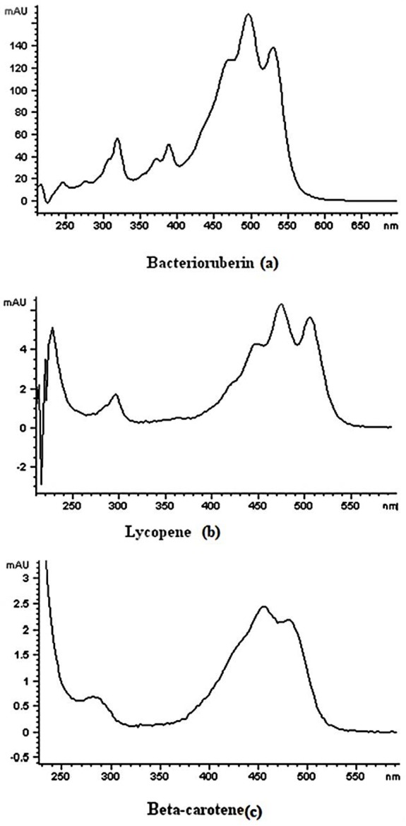 Figure 3 