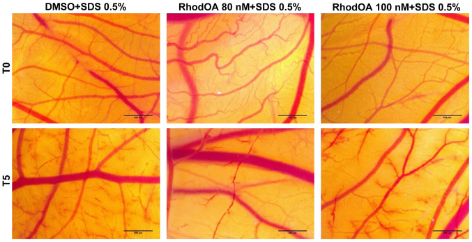 Figure 11.