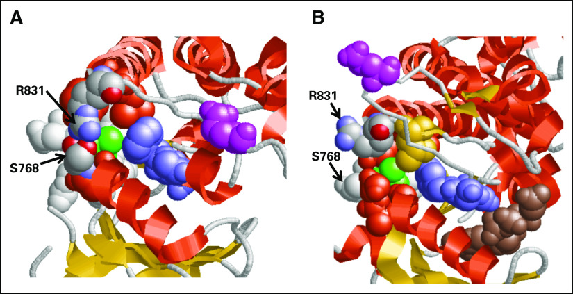 Fig 5.