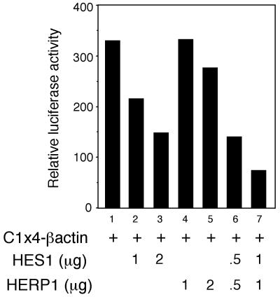 FIG. 6