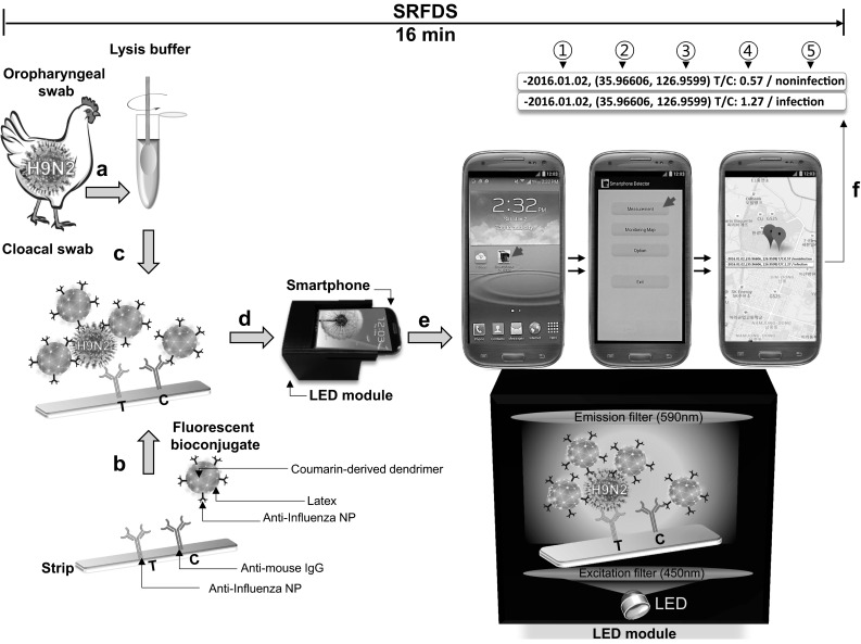 Fig. 1