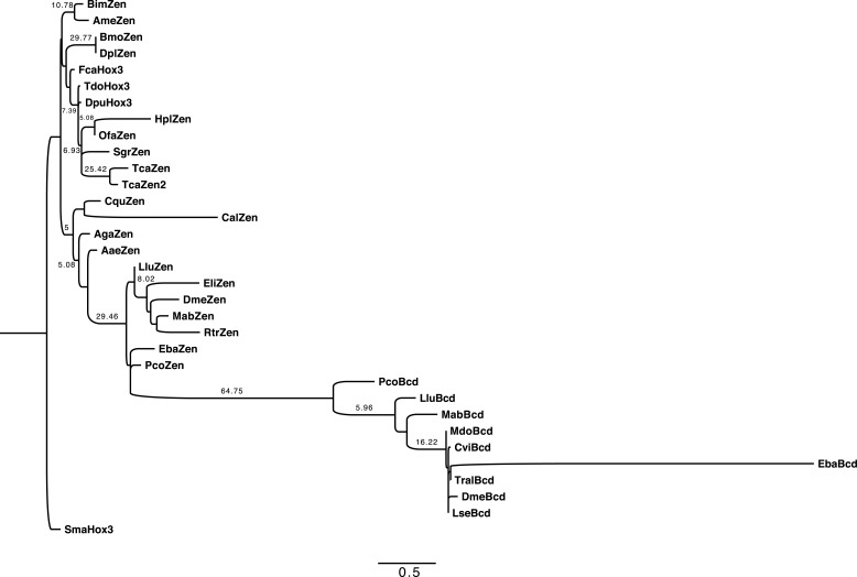 Figure 2—figure supplement 1.