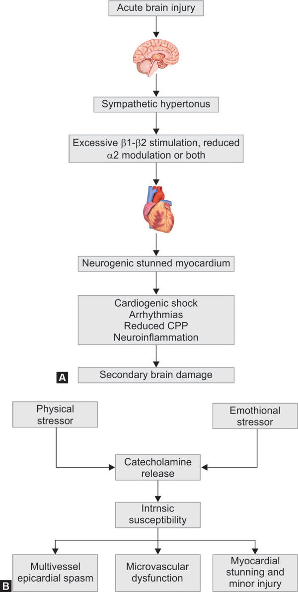 Figs 3A and B