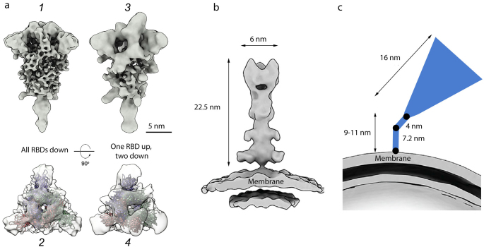 Fig. 4.