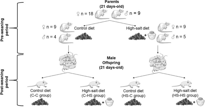 FIGURE 1