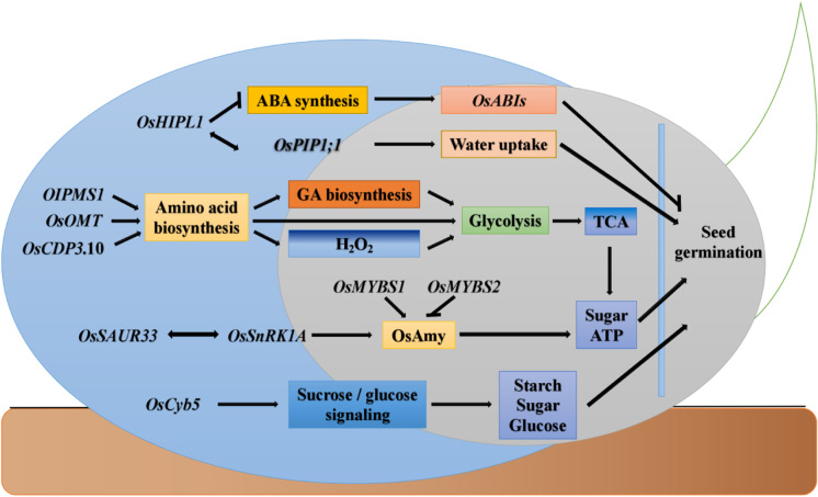 Fig. 2