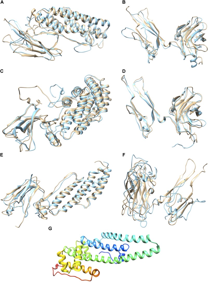 FIGURE 3