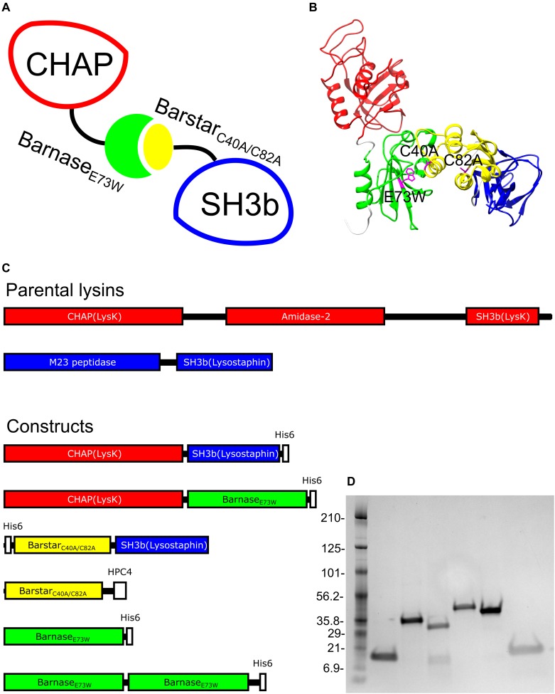 FIGURE 1