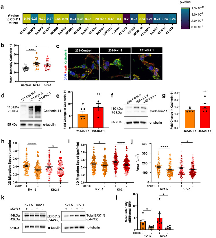 Fig. 6: