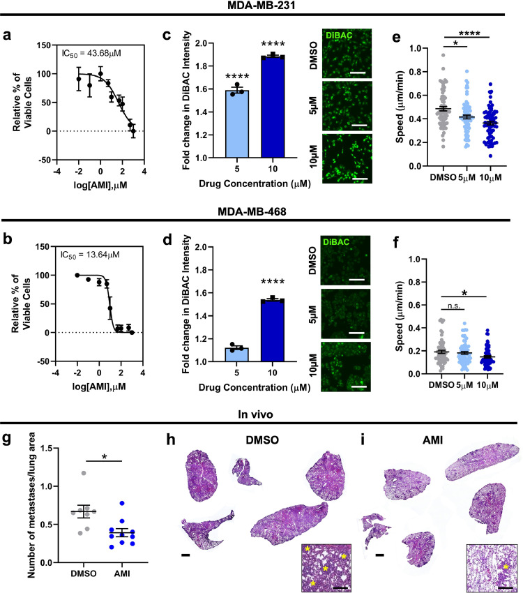 Fig. 7: