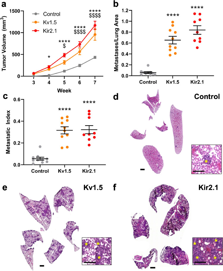 Fig. 3: