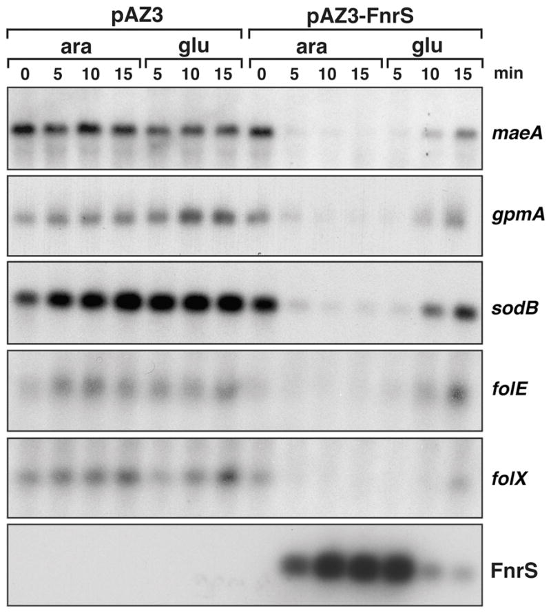 Fig. 4