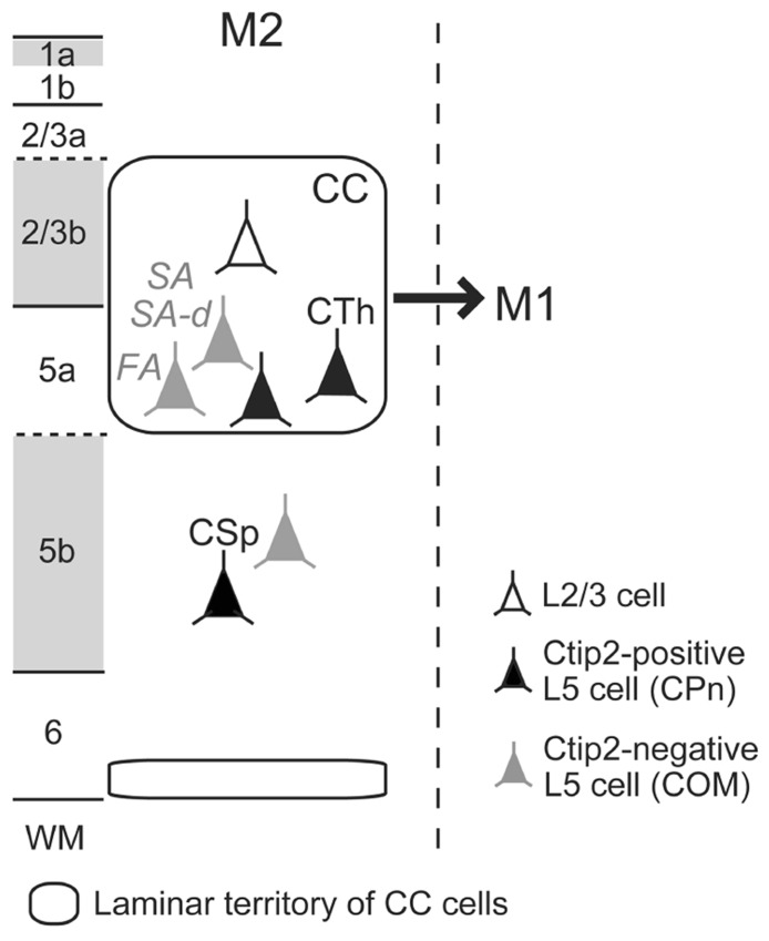 FIGURE 3