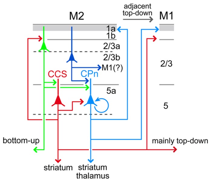 FIGURE 11