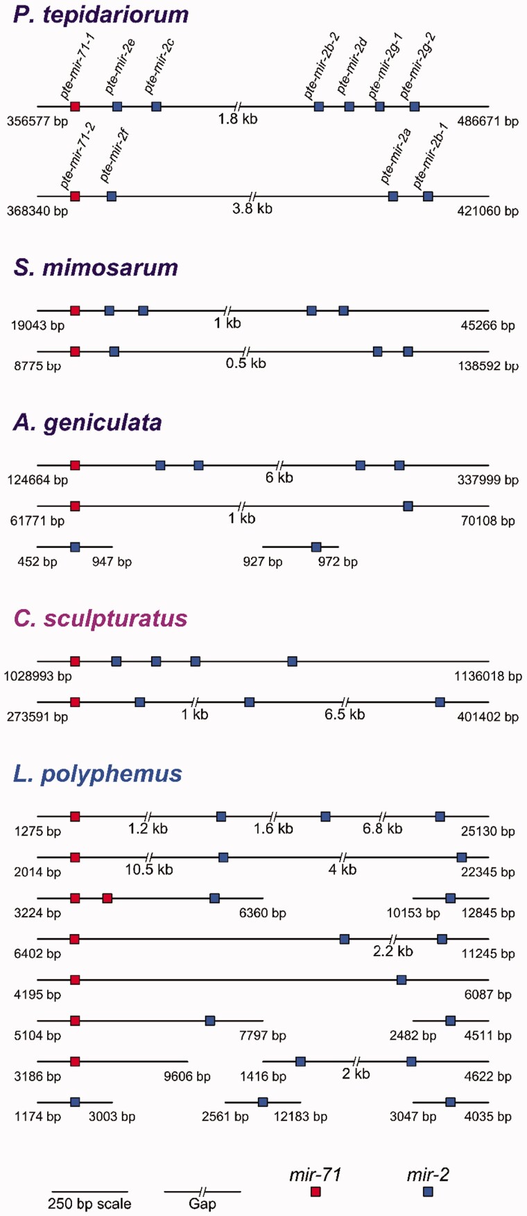 
Fig
. 3.—
