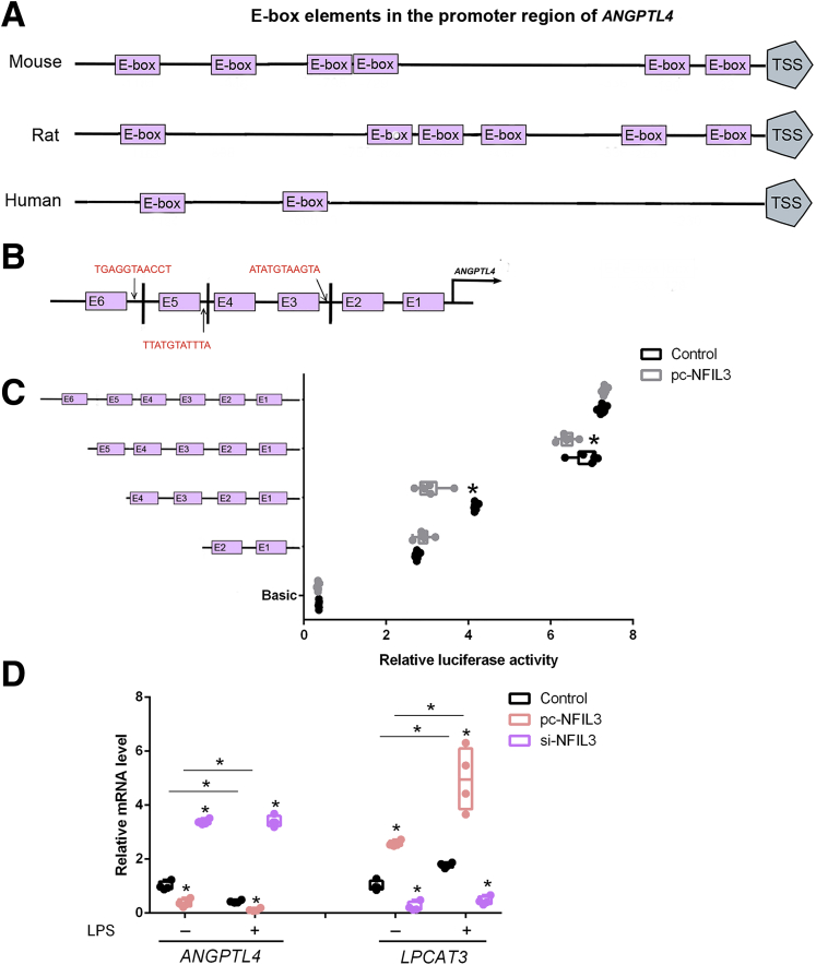 Figure 9