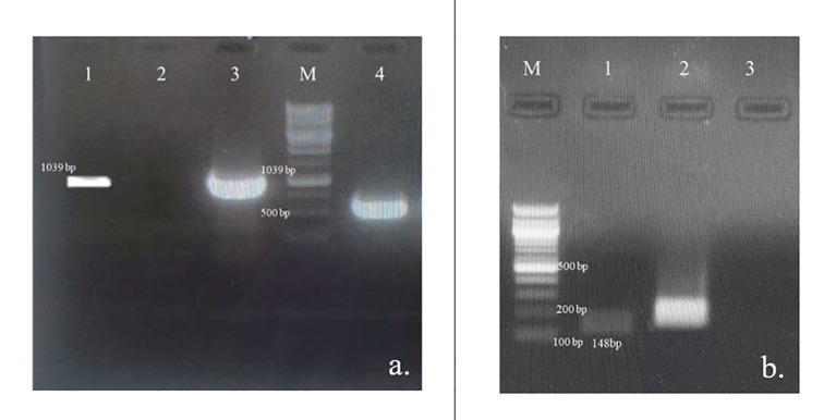 Figure 6