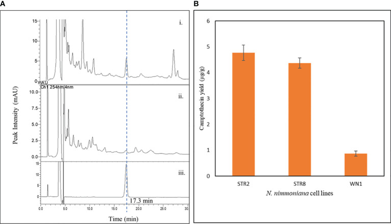 Figure 7