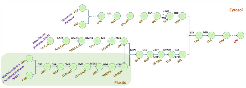 Figure 1