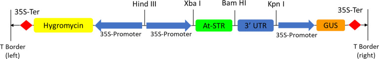 Figure 3