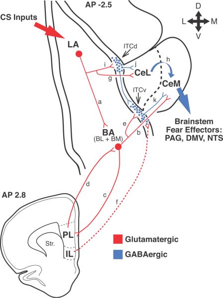 Fig. 9