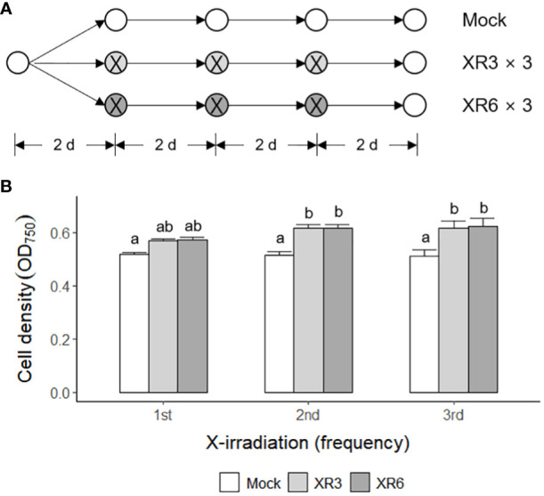 Figure 2