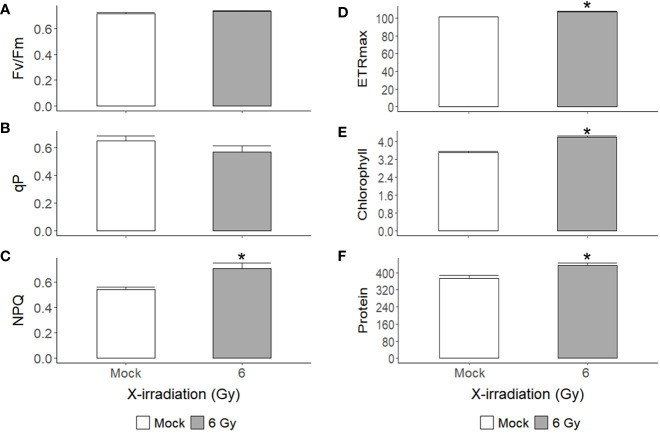 Figure 6