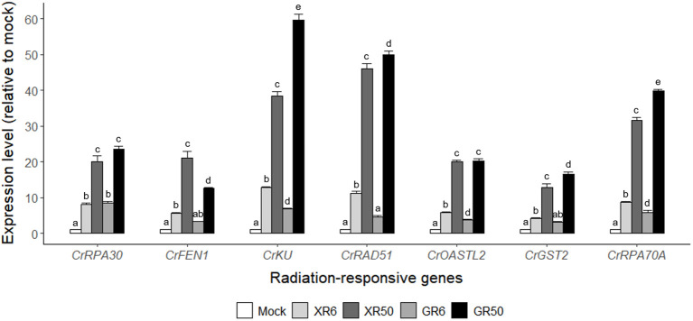 Figure 3