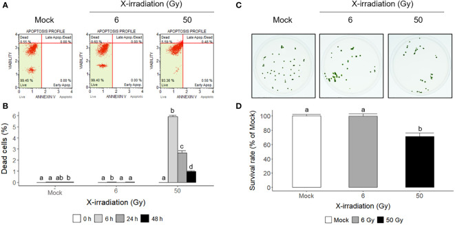 Figure 4