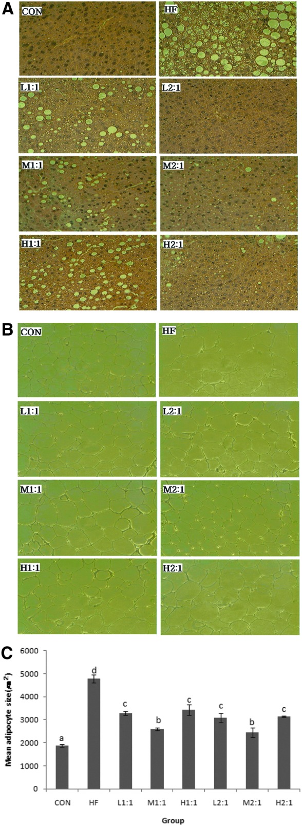 FIG. 2.