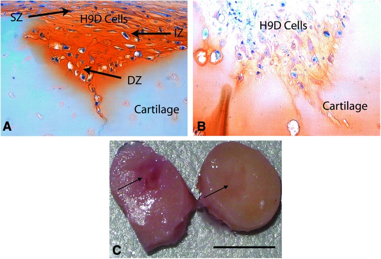 FIG. 6.