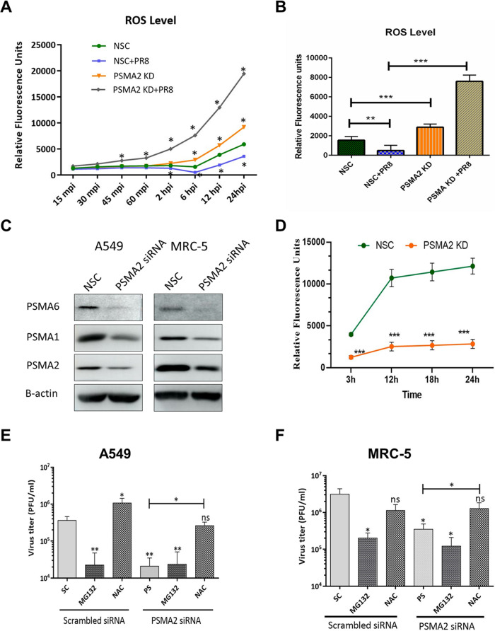 FIG 6