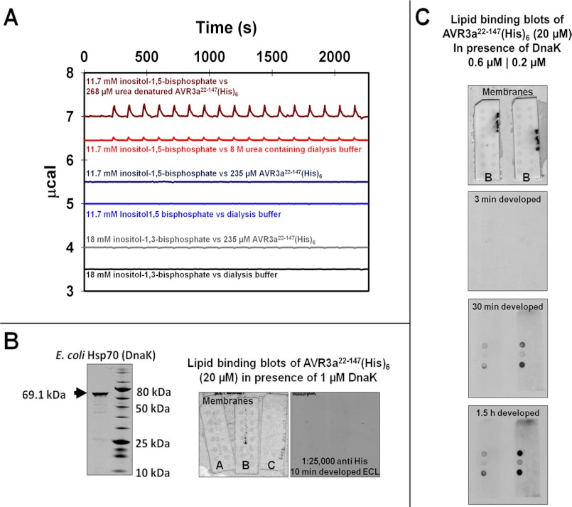 FIGURE 4.