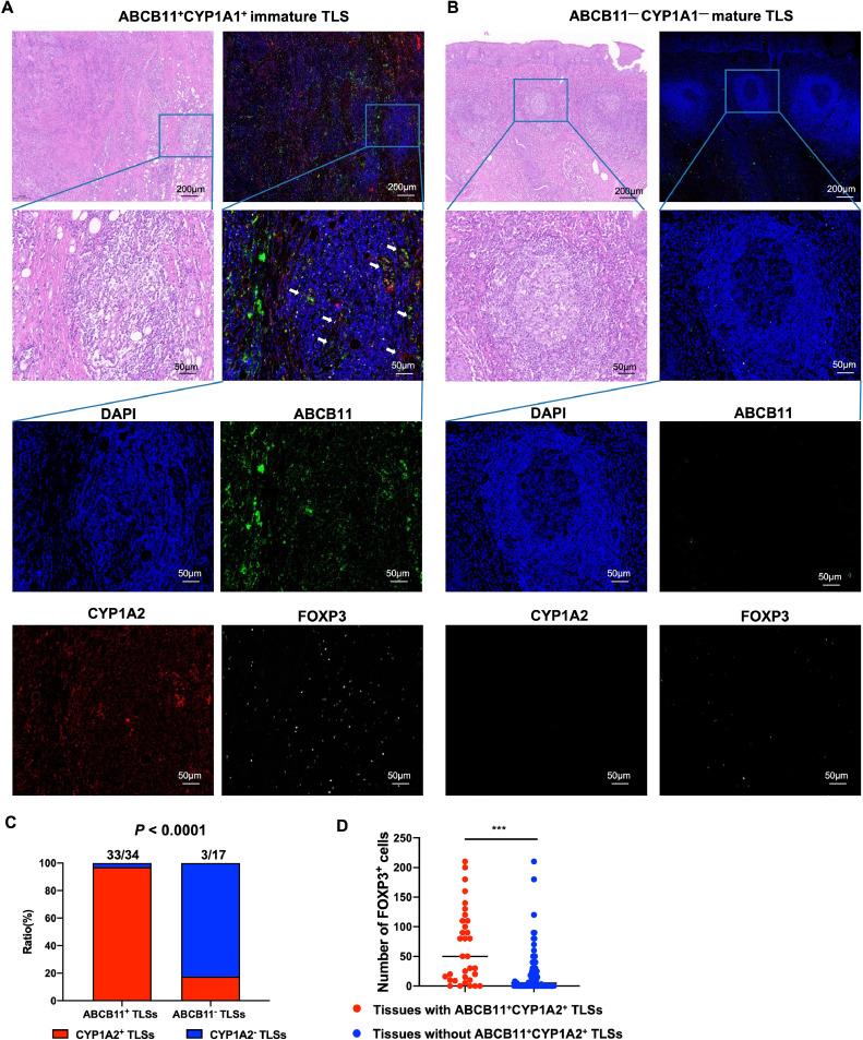 Fig 6: