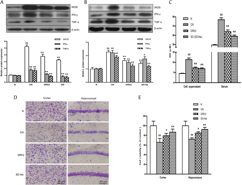 Fig. 6